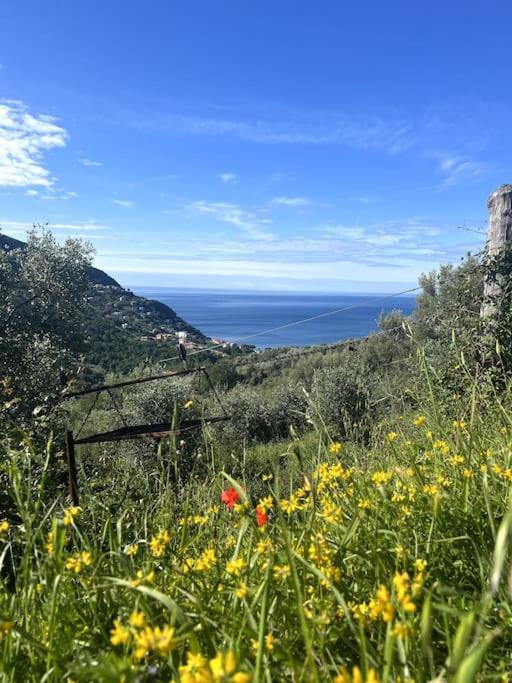 Olivetta House Holiday Moneglia Exteriér fotografie